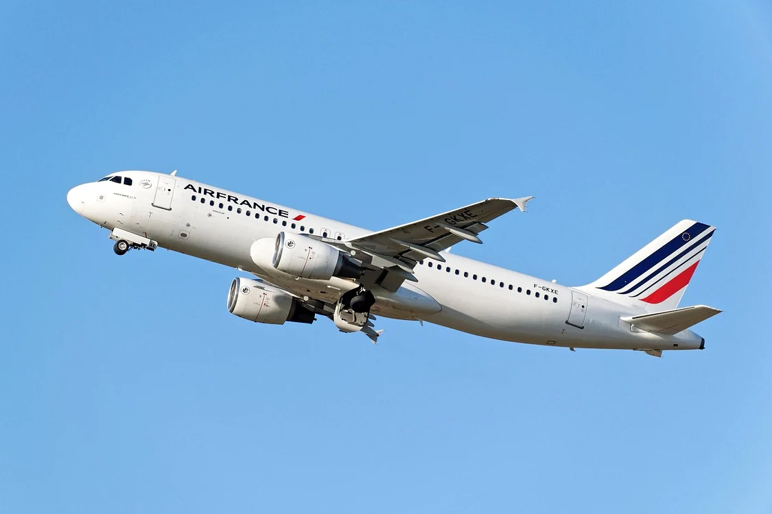 Panică într-un avion al companiei Air France. Foto: Pixabay