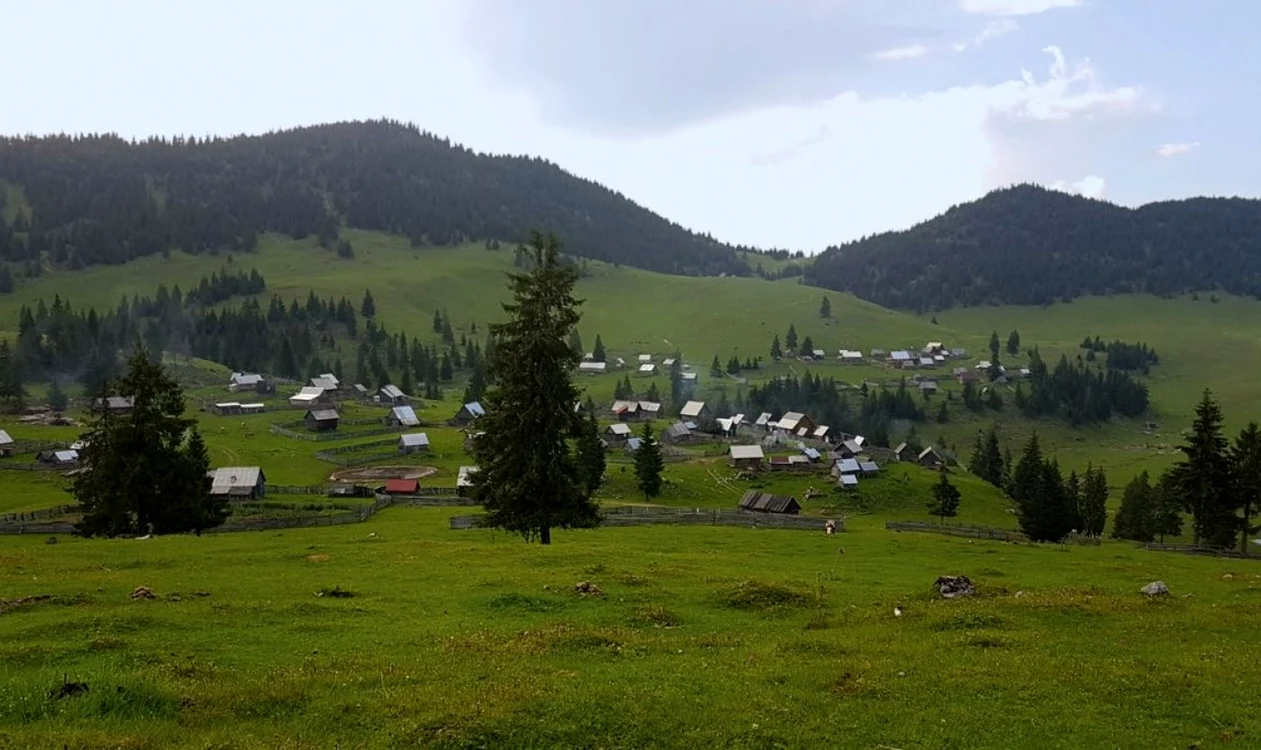 poiana calineasa apuseni