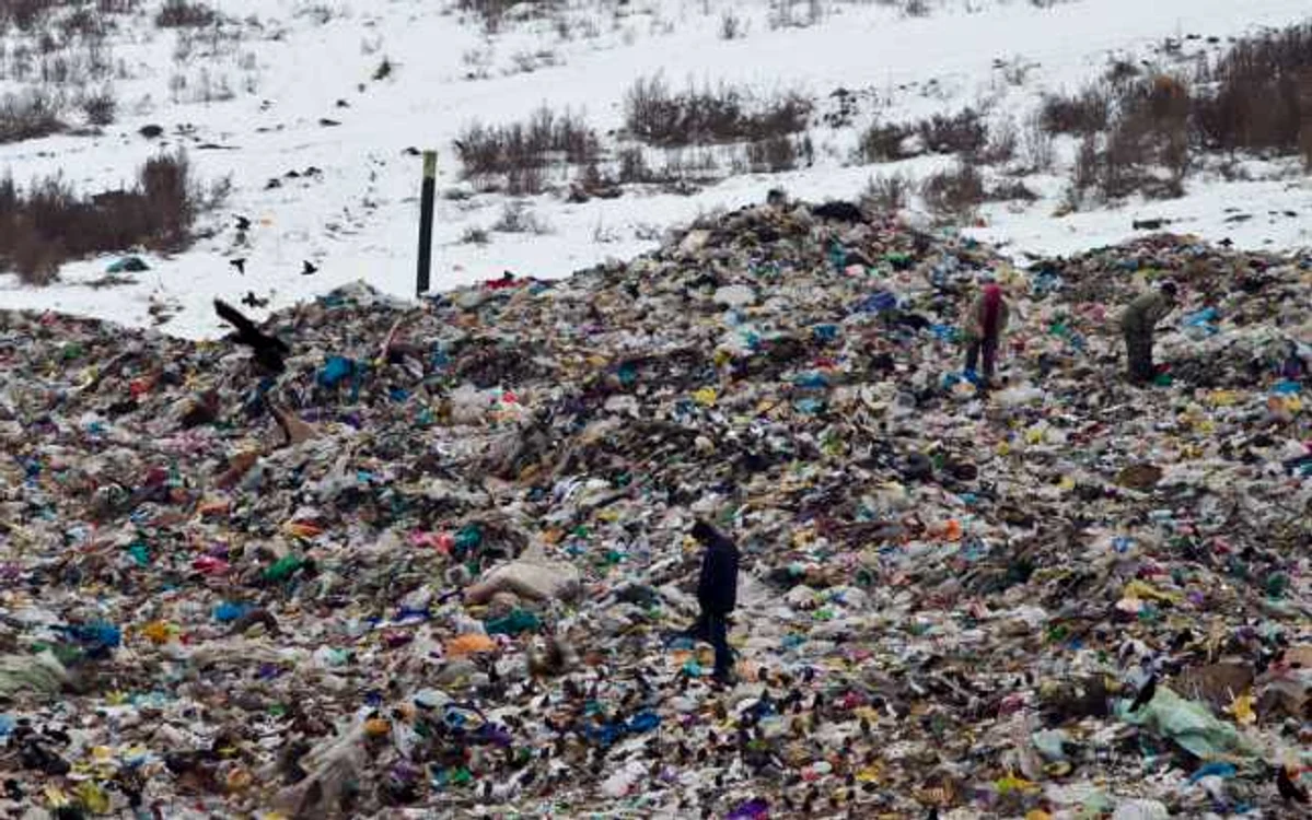 Cele 15 milioane vor fi cheltuite pentru diferite proiecte de îmbunătăţire a stării mediului înconjurător FOTO: Adevărul