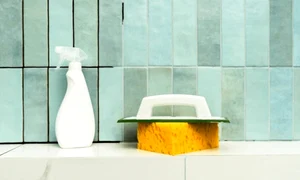 faianta shutterstock1 jpeg