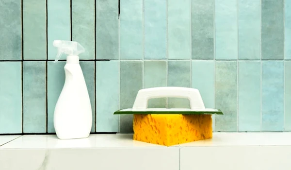 faianta shutterstock1 jpeg