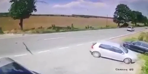 6281302b5163ec42716fc126 jpg