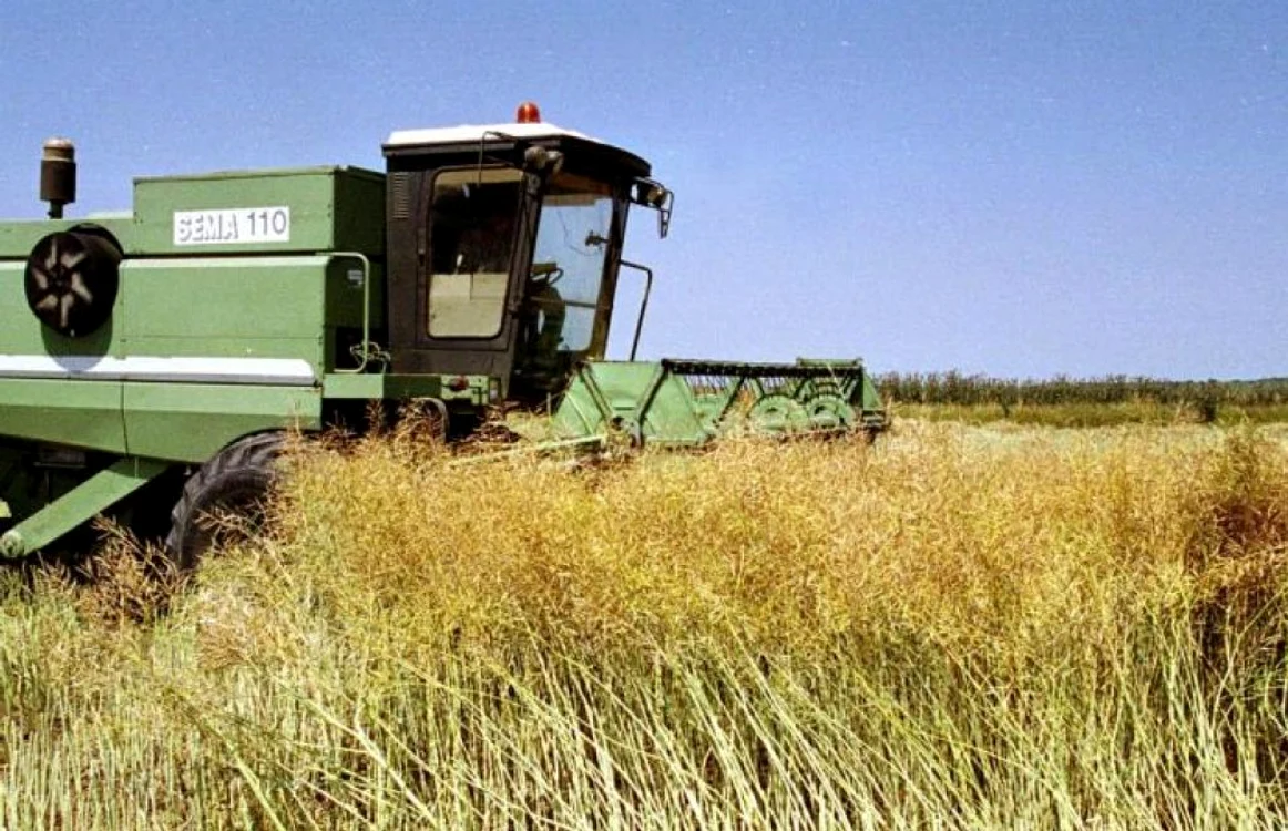 Tinerii pot obţine fonduri europene pentru ferme