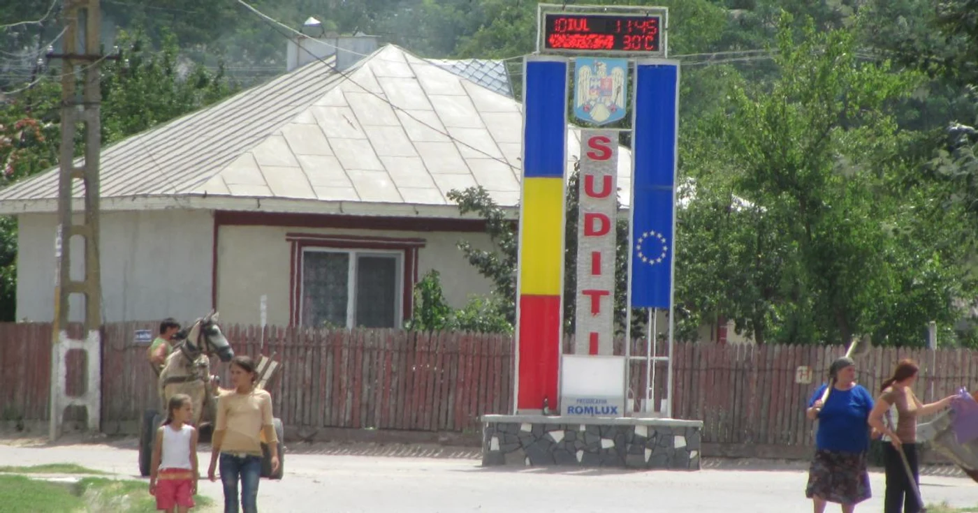 Viperele erau ţinute la secret pe raza localităţii ialomiţene Sudiţi FOTO: arhivă slobozia.adevarul.ro