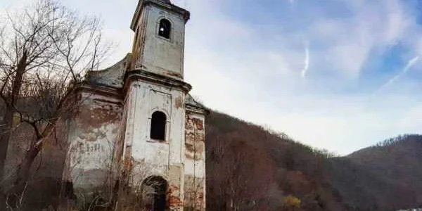 cincis