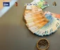 Sume de bani confiscate/FOTO: DIICOT Iași