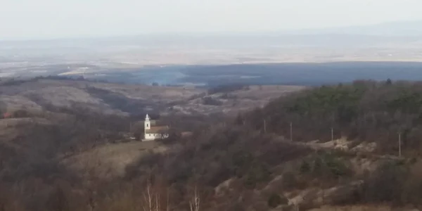Vasoaia 5 jpg