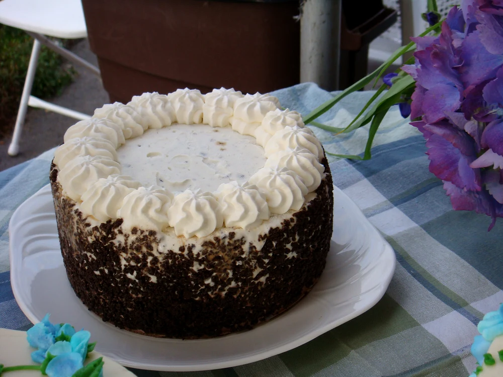 tort de îngheţată cu blat de pandişpan jpeg