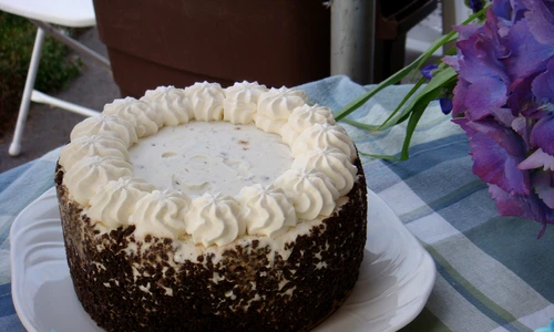 tort de îngheţată cu blat de pandişpan jpeg