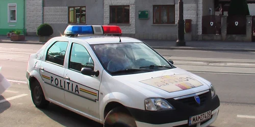 poliţiştii au scotocit ocolul silvic resita