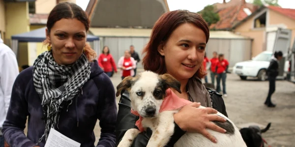Braşovenii s-au arătat interesaţi să adopte în special câini