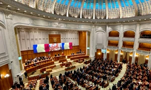 Camera Deputatilor FB jpg