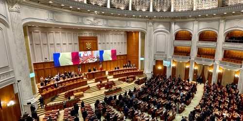 Camera Deputatilor FB jpg