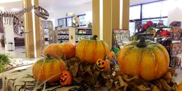 dino parc halloween facebook jpg