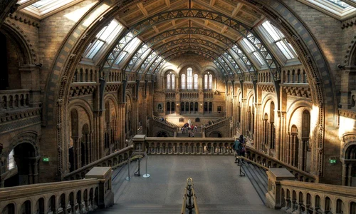 5 muzee virtuale pe care le poţi vizita de acasă  jpeg