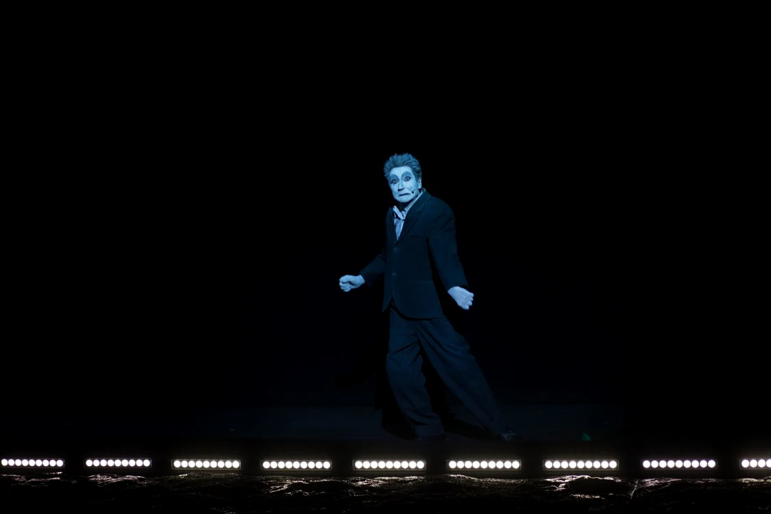 rinocerii teatrul national craiova