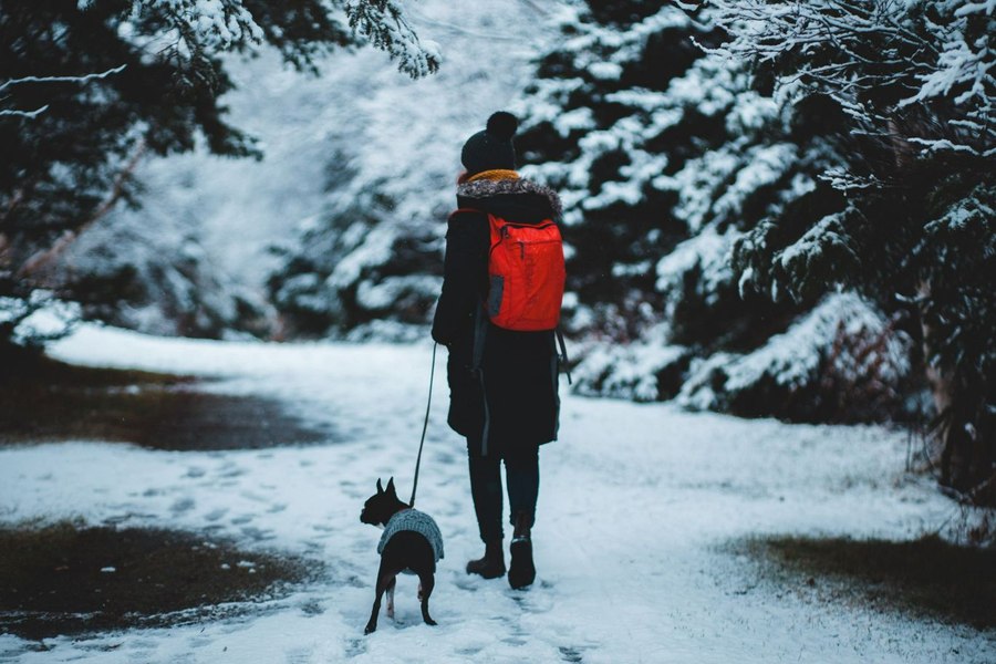 Prognoza meteo pentru următoarele patru săptămâni. România va avea temperaturi peste normalul perioadei