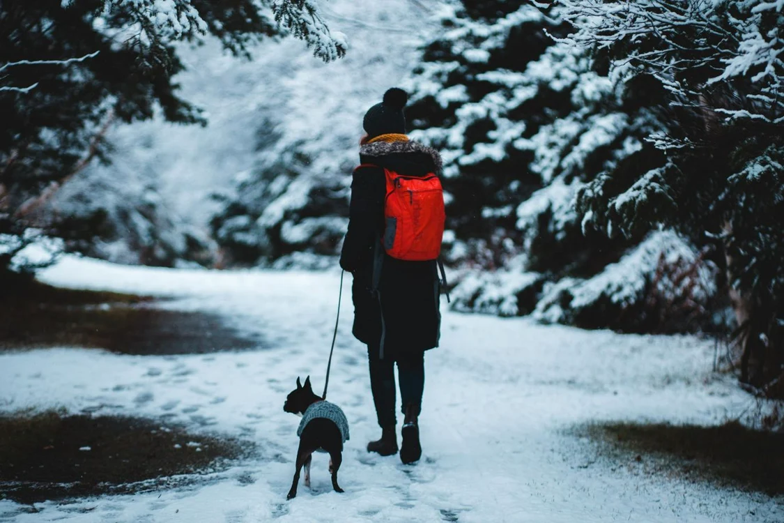 Meteorologii au publicat prognoza meteo pentru următoarele patru săptămâni/FOTO: Pexels