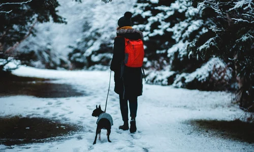 Cum sa fii mai prietenos cu mediul iarna aceasta jpg