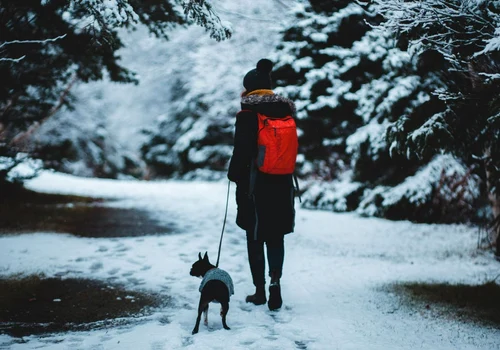 Cum sa fii mai prietenos cu mediul iarna aceasta jpg