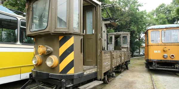 Timişorenii sunt aşteptaţi la expoziţia tramvaielor de epocă