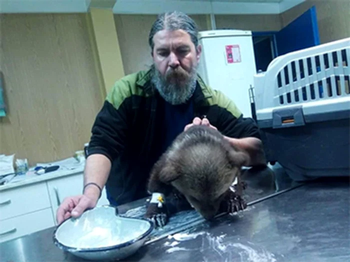 Puiul abandonat de mamă în Harghita, recuperat de salvamontişti