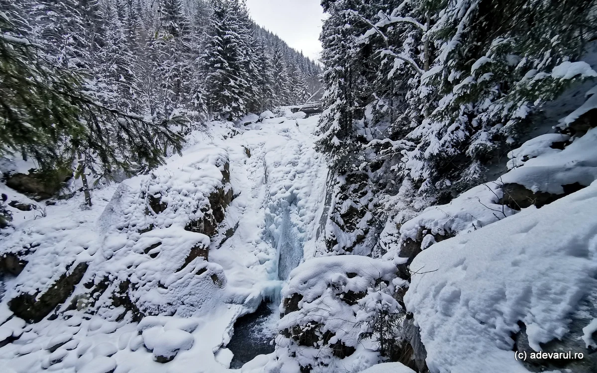 Cascada Lolaia, iarna. Foto: Daniel Guță. ADEVĂRUL