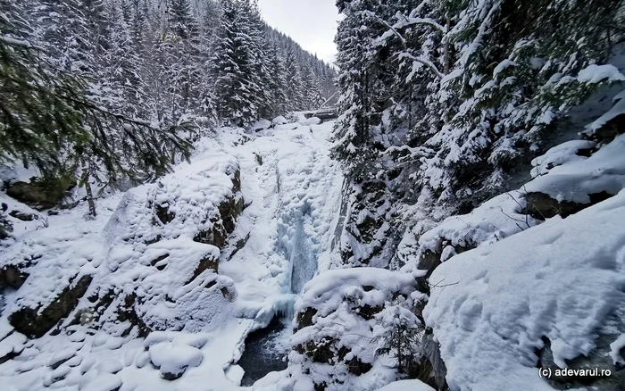 VIDEO Cascada Lolaia, monumentul de gheață din Retezat. Ce găsesc turiștii iarna în locul emblematic de pe valea Pietrele