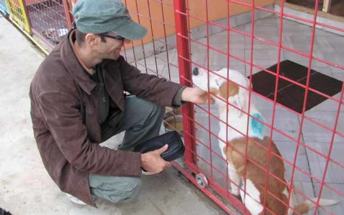 Unul din căţeluşii de la Danyflor şi-a găsit stăpân Foto. Ştefan Both