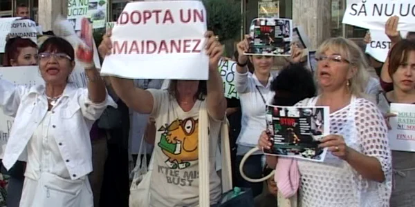Protest pro-maidanezi la Constanta