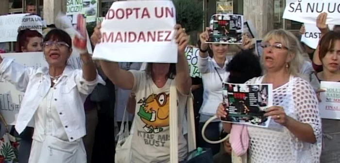 Apărătorii animalelor, în protest la Constanţa FOTO Adrian Boioglu