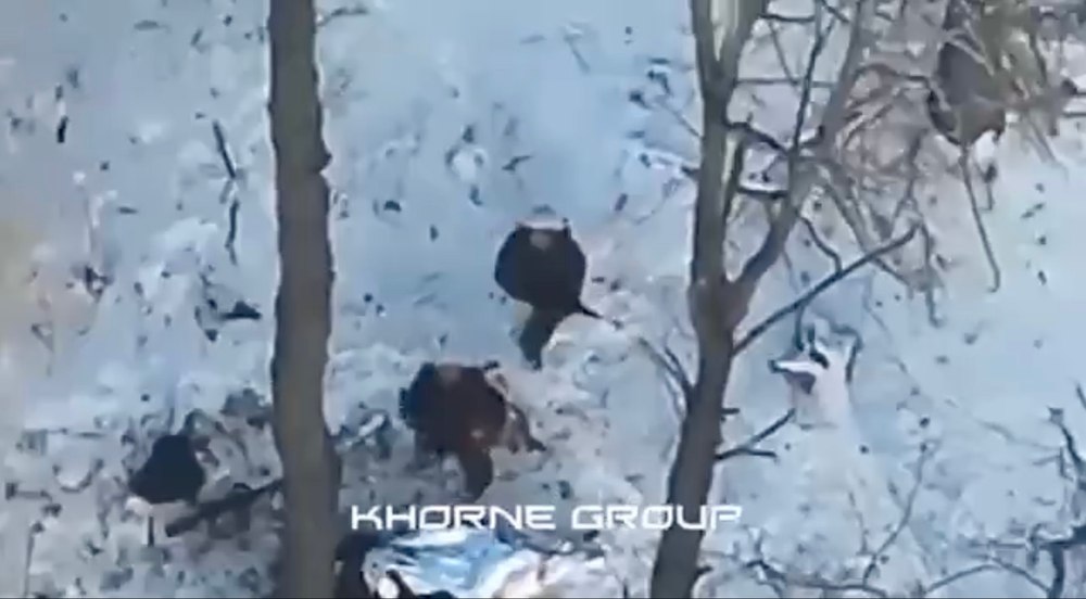 Mărturii despre felul în care luptă soldații nord-coreeni în regiunea Kursk: „Nu am văzut niciodată așa ceva”