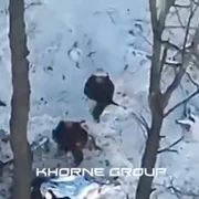 profimedia 0947321027 jpg