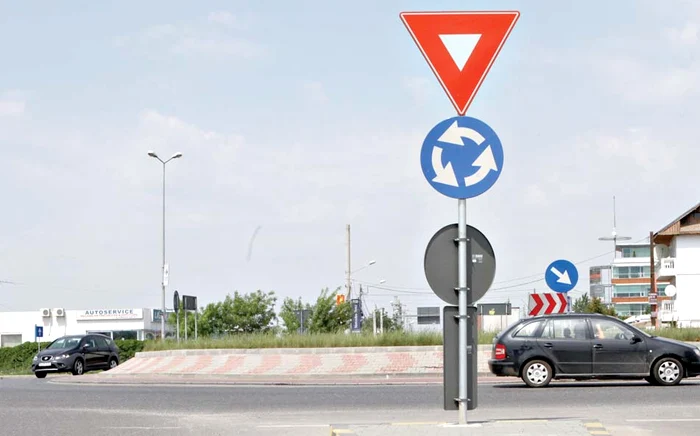 Plantele nu sunt foarte  mari, în schimb taluzul  este înalt cât o maşină