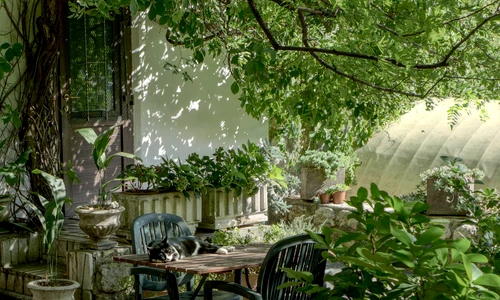 clickpentrufemei robin wersich Q0IrpWQIMR4 unsplash jpg