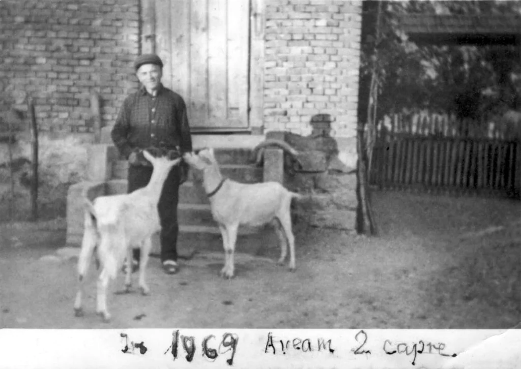 traian dorz