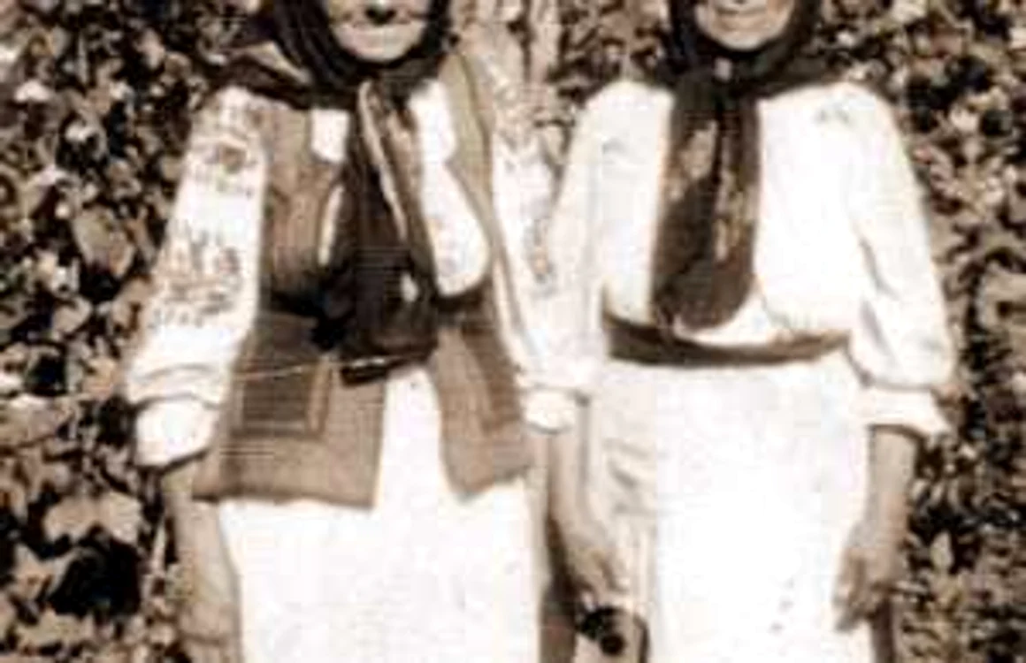 satul pietriceaua prahova foto florin sinca