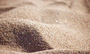 sweetlouise beach 7153932 jpg