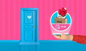 Valentine's Day Wolt png