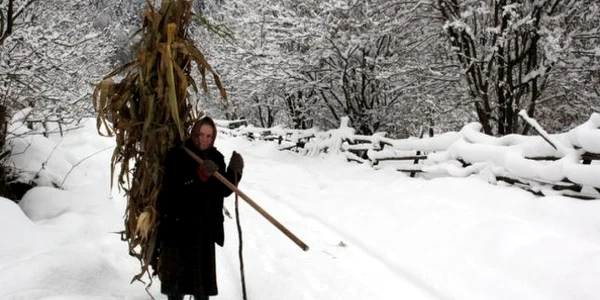 cioclovina foto daniel Guta adevarul