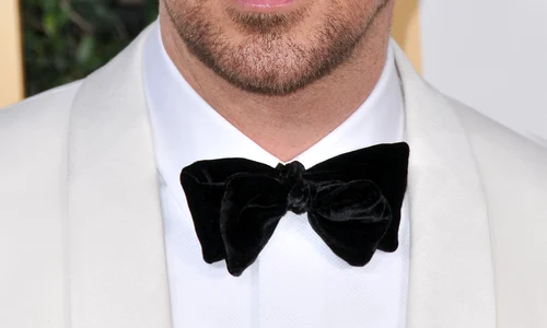 74th Annual Golden Globe Awards   2017 Arrivals jpeg