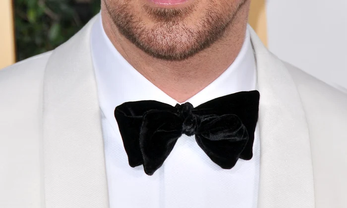 74th Annual Golden Globe Awards   2017 Arrivals jpeg