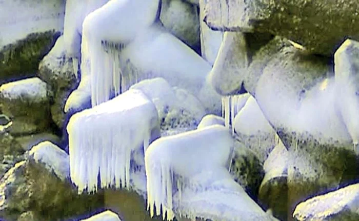 Stabilopozii au fost îmbrăcaţi în  haine de gheaţă la Constanţa