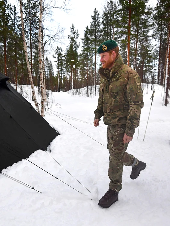 Harry la Polul Nord, Getty (1) jpg