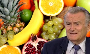 fructe e1707428579633 1200x676 logo webp
