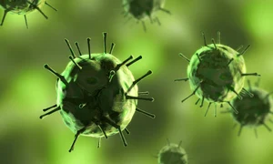 virus shutterstock 22366534 0 jpeg