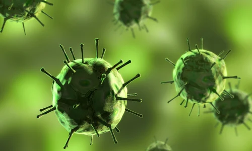 virus shutterstock 22366534 0 jpeg