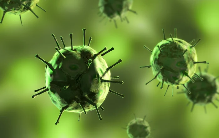 Ce sunt „virusurile de valiză” care apar în Europa / foto: Shutterstock