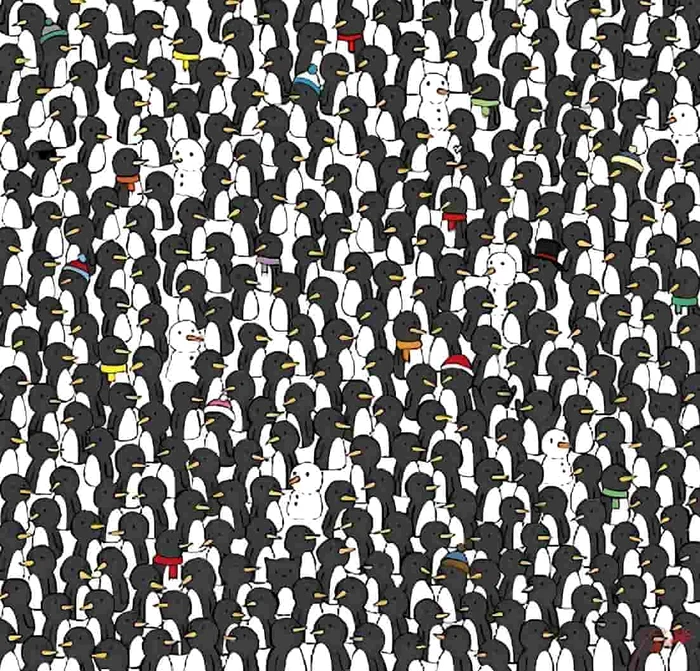 Iluzie optică / foto: Dudolf