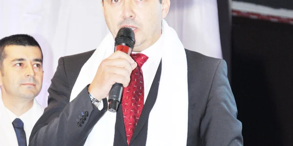 catalin radulescu